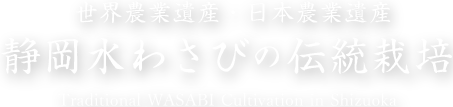 粋の極み。人と自然と伝統が息づく静岡水わさび